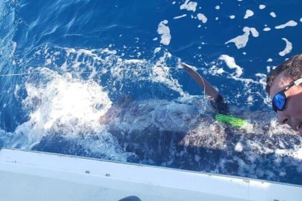 Fishing Charter 10 Hours (Bonaire) - Image 4