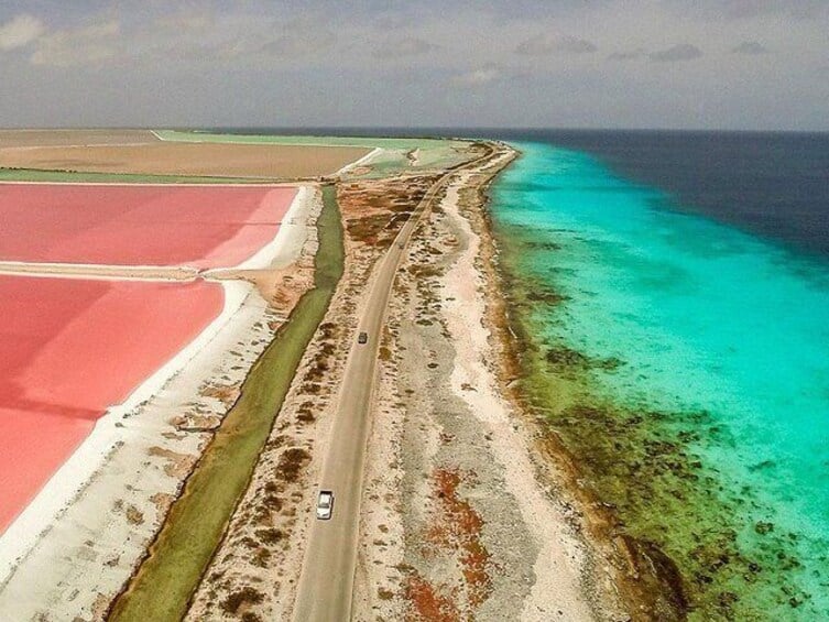 Jouw Gids: Privé Tour (Noord en Zuid) Aanpassen (Bonaire)