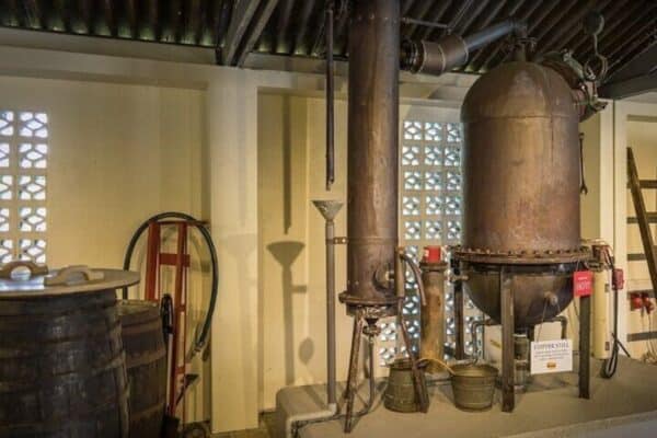 Guided tour at the Liqueur Distillery (Curaçao) - Image 2