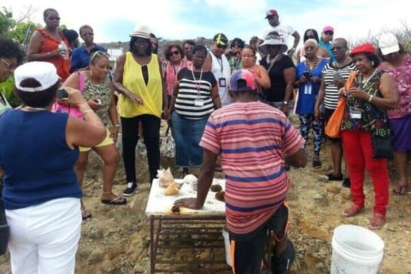 Island Discovery: Sightseeing, Beach & Shopping (St Maarten) - Image 3