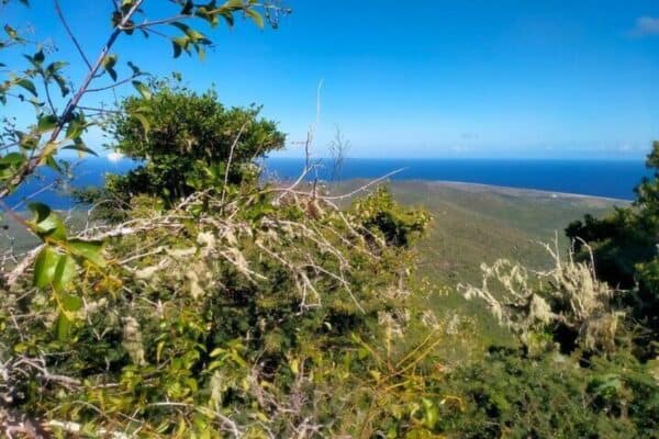 Christoffelberg Adventure (Curaçao) - Image 5