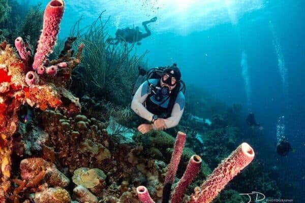 Private Scuba Dive Charter in Marine Park (Bonaire) - Image 4