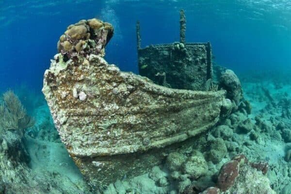 Explore Scuba Diving in Curacao (Curacao) - Image 4