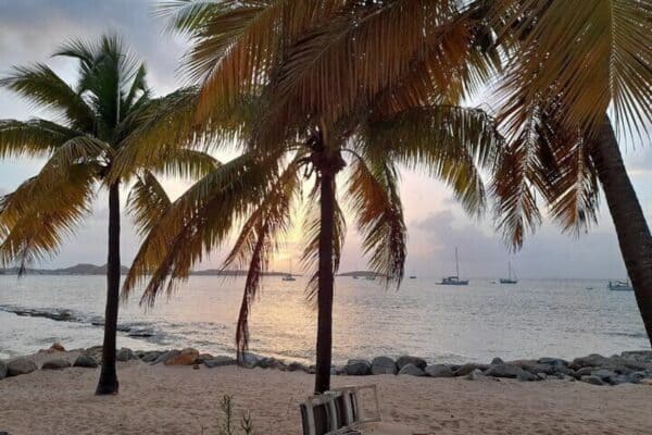 Full Day Private Boat Tour in the Caribbean (Sint Maarten) - Image 5