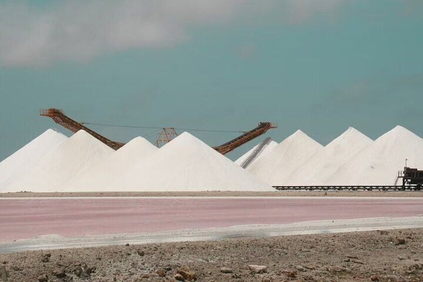 Kleine Groep Geleide Tour door Bonaire met Ophalen (Bonaire)