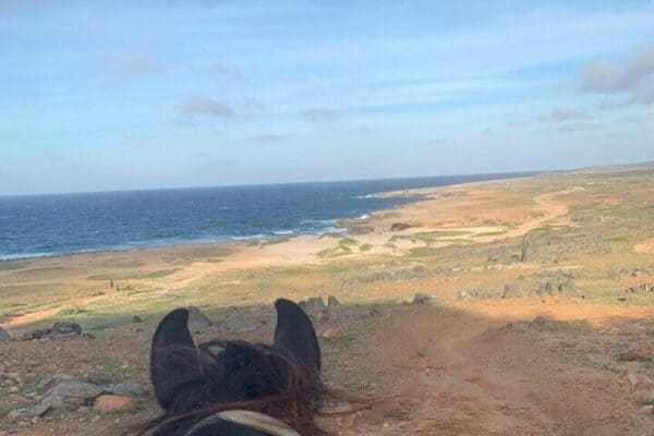 Paseos a caballo en la playa de Wariruri (Aruba) - Imagen 2
