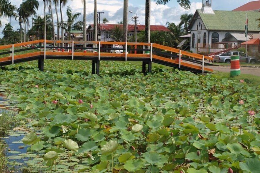 2-Daagse Nickerie Tour met Boottocht in Bigipan (Suriname)