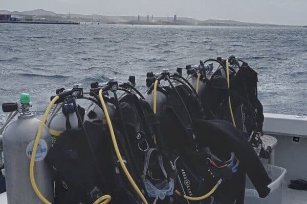 Boat Dive Shipwrecks / Aircraft / Reefs / 2 Tanks (Aruba) - Image 3
