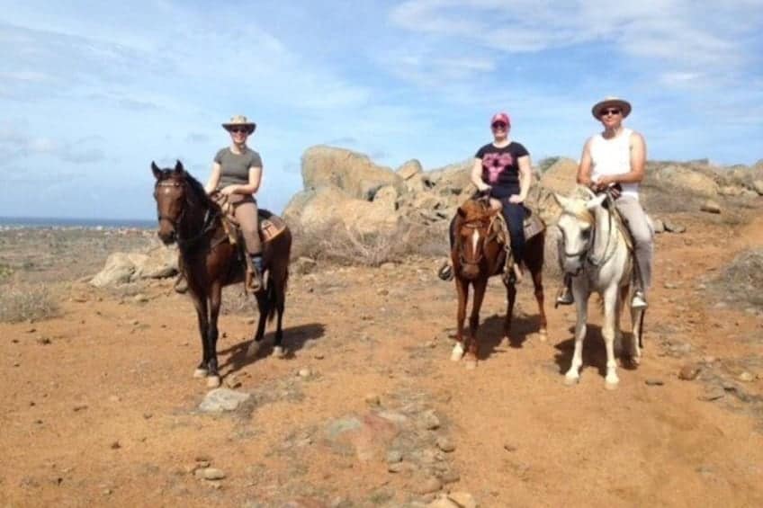 Private 2-Hour Advanced Horseback Riding Tour (Aruba)