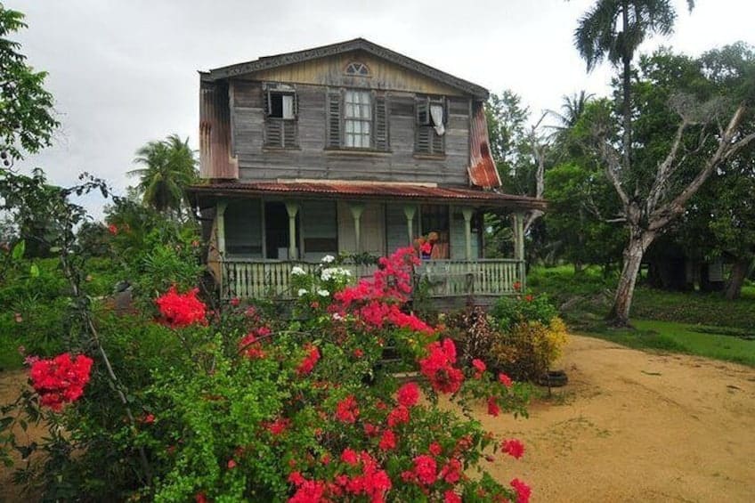 Volledige Dagtocht Saramacca en Coronie met Lunch (Suriname)