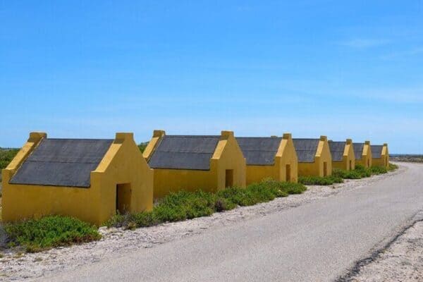 4-Hour Guided Island Tour in Bonaire for Solos and Duos (Bonaire) - Image 4