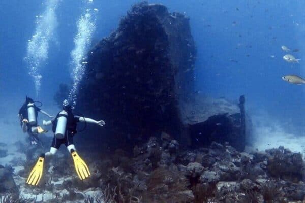 Excursión de buceo de 2 tanques para buzos certificados (Aruba) - Imagen 3