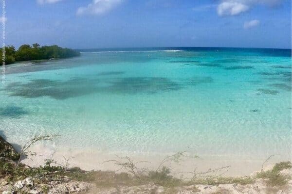 Snorkel: Mangel Halto y Baby Beach (Aruba) - Imagen 5