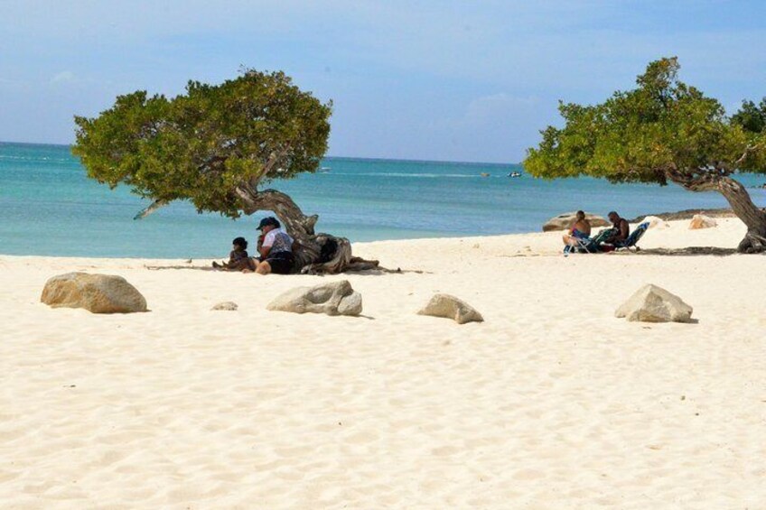 Tour privado: Tour esencial (Aruba)