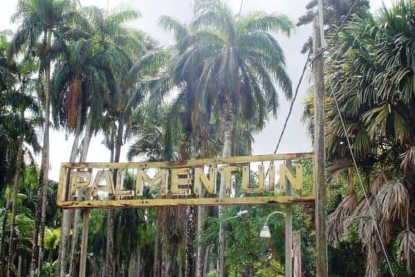 Wandeltocht door het centrum van Paramaribo (Suriname) - Afbeelding 2