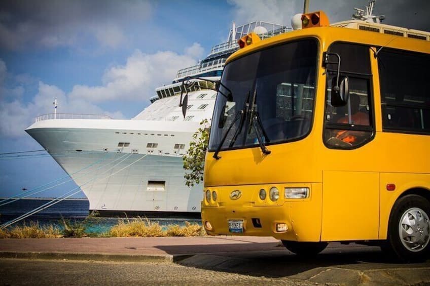 Essentiële Eilandsafari naar Bonaire (Bonaire)