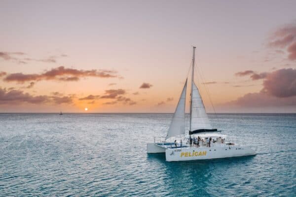 Crucero al atardecer y cena junto al mar en Pelican Nest (Aruba) - Imagen 4