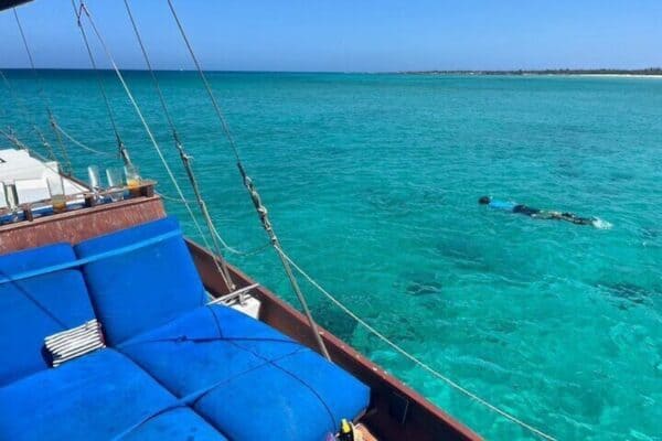 Adults Only Snorkel & Sunset Cruise in Small Group (Aruba) - Image 4