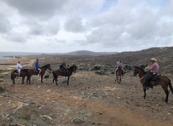 Excursión a caballo a la playa de Wariruri (Aruba) - Imagen 4