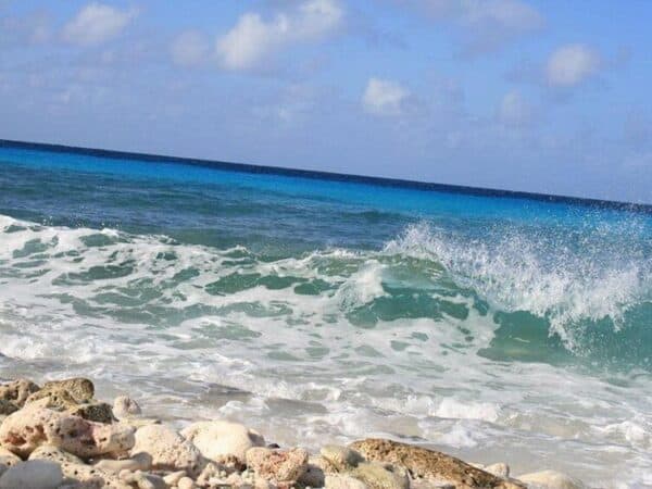Your Guide: Private Tour (North  South) Customize (Bonaire) - Image 3