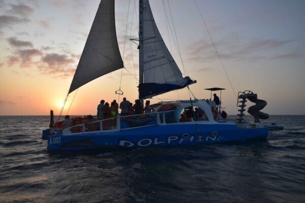 Dolfijn Sunset Avontuur op de Catamaran (Aruba) - Afbeelding 4