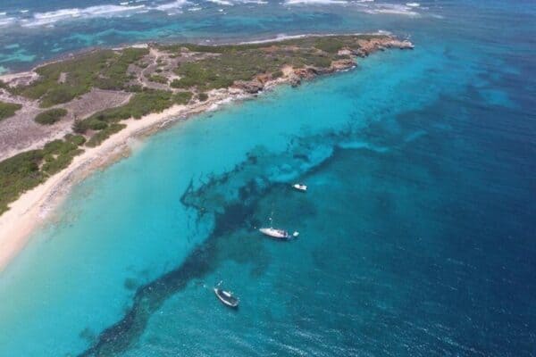 Snorkeling Tour with Speedboat to the Islands of Pinel & Tintamarre for Cruiseship Guests (Sint Maarten) - Image 3