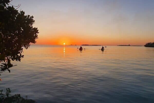 Excursión en kayak en Mangel Halto y Spanish Lagoon (Aruba) - Imagen 4
