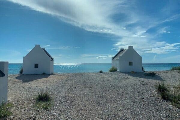 Noord- en Zuidtour + Strandtijd met een Lokale Gids (Bonaire) - Afbeelding 3