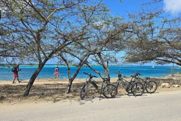 La laguna española - Molinos de oro y patrimonio natural Recorrido en bicicleta eléctrica (Aruba) - Imagen 5