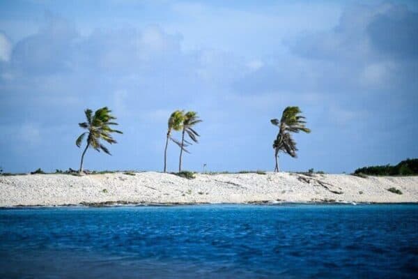 4-Hour Guided Island Tour in Bonaire for Solos and Duos (Bonaire) - Image 5