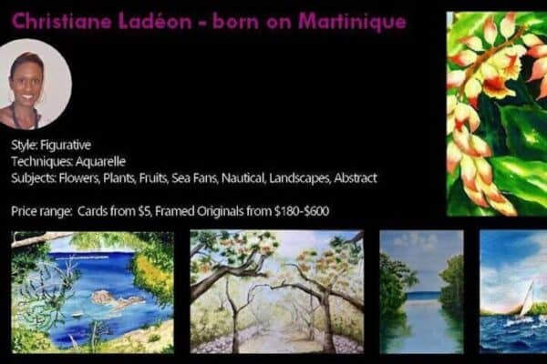 Tour de arte con artistas locales en St. Martin - Imagen 5