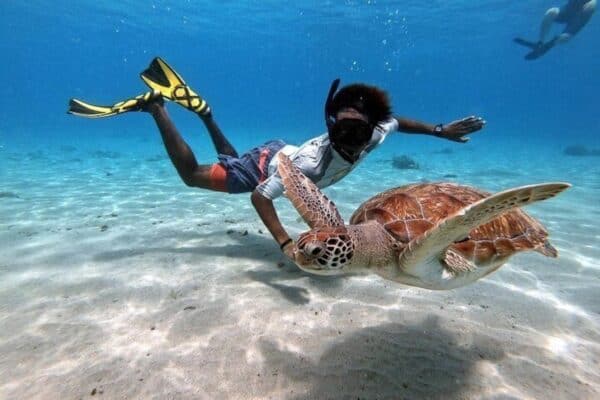 Zwemmen met Zeeschildpadden en Grote Knip Strand Tour (Curaçao)