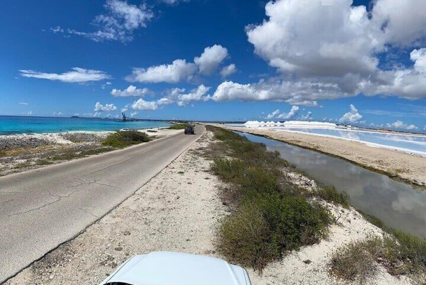 Tour Norte y Sur con un guía local (Bonaire)