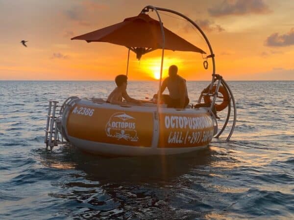 Aqua Donut Private Boat (Aruba) - Image 4