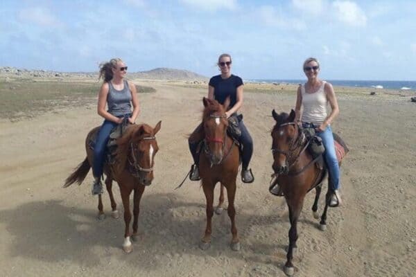 Paardrijtocht naar Alto Vista Kapel (Aruba) - Afbeelding 3