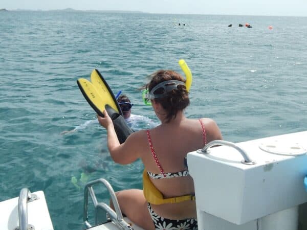 Halve Dag Snorkelavontuur (Sint Maarten) - Afbeelding 4