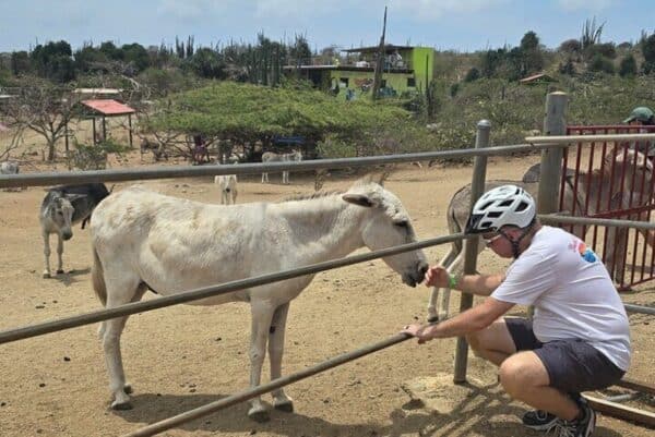 La laguna española - Molinos de oro y patrimonio natural Recorrido en bicicleta eléctrica (Aruba) - Imagen 3