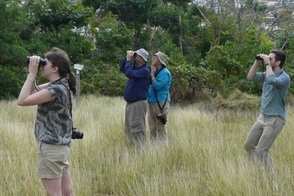 Domaine de Vogelsafari: Excursión en grupo reducido (Sint Maarten) - Imagen 3