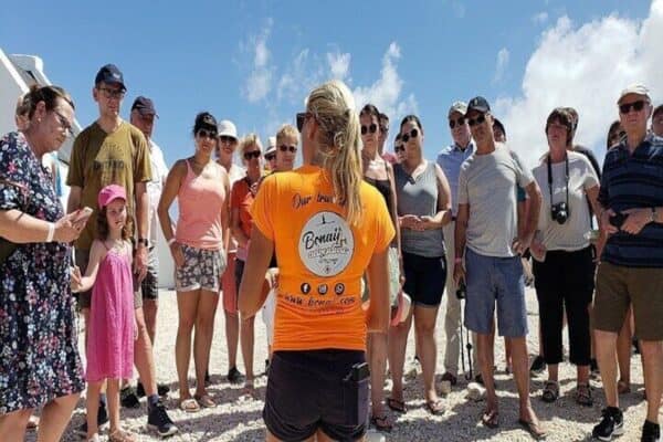 Essentiële Eilandsafari naar Bonaire (Bonaire) - Afbeelding 2