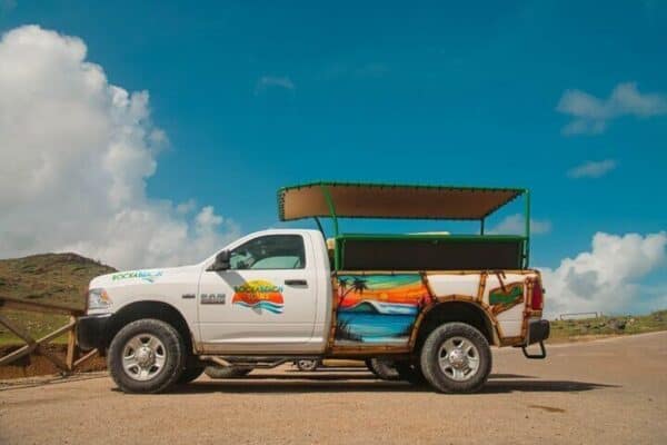 Excursión a la piscina de la cueva y al safari secreto en la playa (Aruba) - Imagen 2