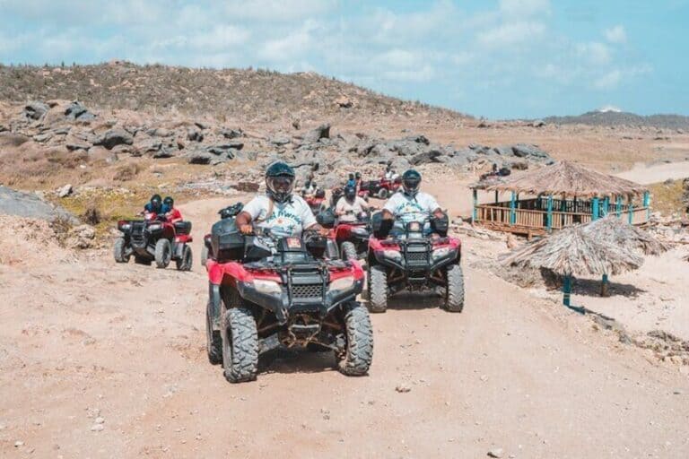 Noordkust ATV Avontuur: Woestijn en Strand Tour (Aruba)
