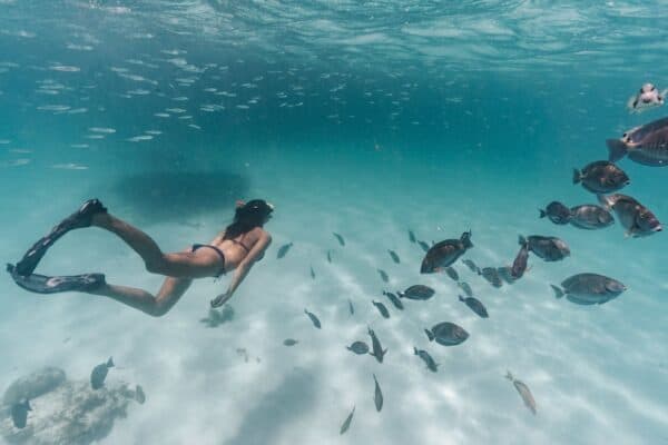 Sailing and Snorkeling with Snacks and Open Bar (Aruba)