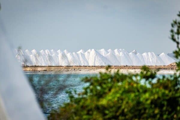 VIP Privé Eilandtour – Noord & Zuid (Bonaire) - Afbeelding 3