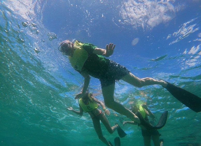 Mangel Halto en Baby Beach Snorkelavontuur (Aruba)