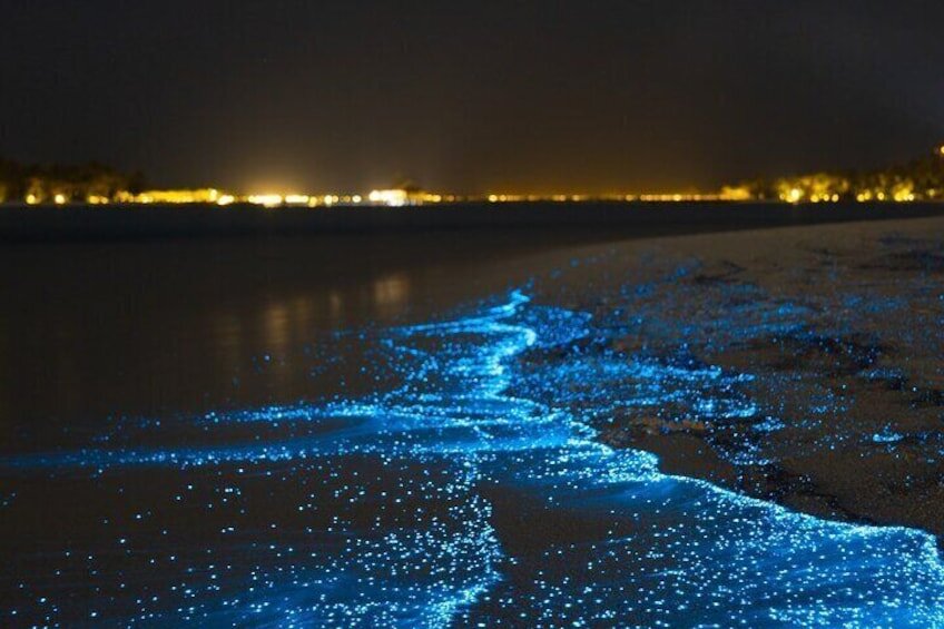 Magische Bioluminescente Nachtduik (Bonaire)