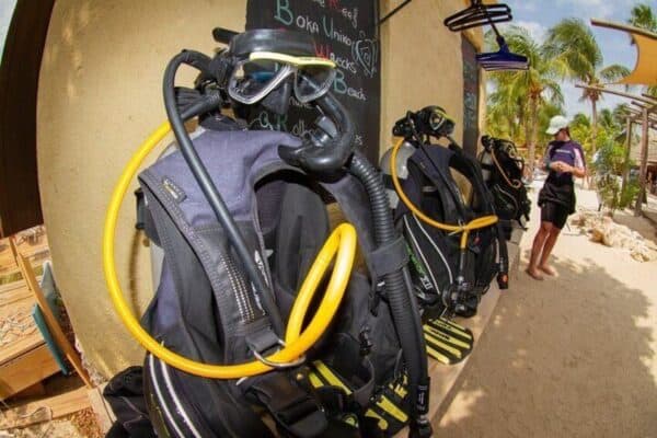 Open Water Diver Course at Blue Bay Dive (Curaçao) - Image 5