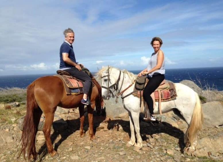 2 Uur Gevorderd Paardrijden naar de Noordkust (Aruba)