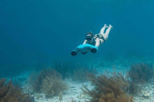 E-Snorkeltocht op Bonaire met gemakkelijke Sea Scooters (Bonaire) - Afbeelding 2