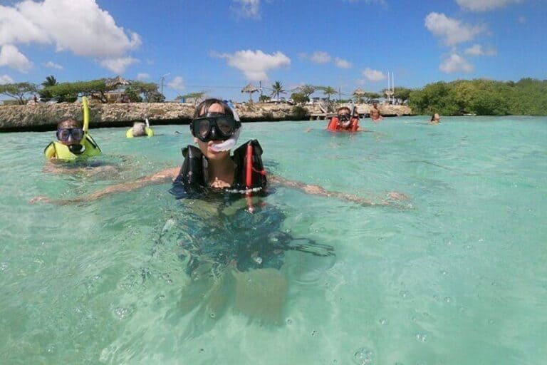 Small Group Snorkeling at Mangel Halto (Aruba)