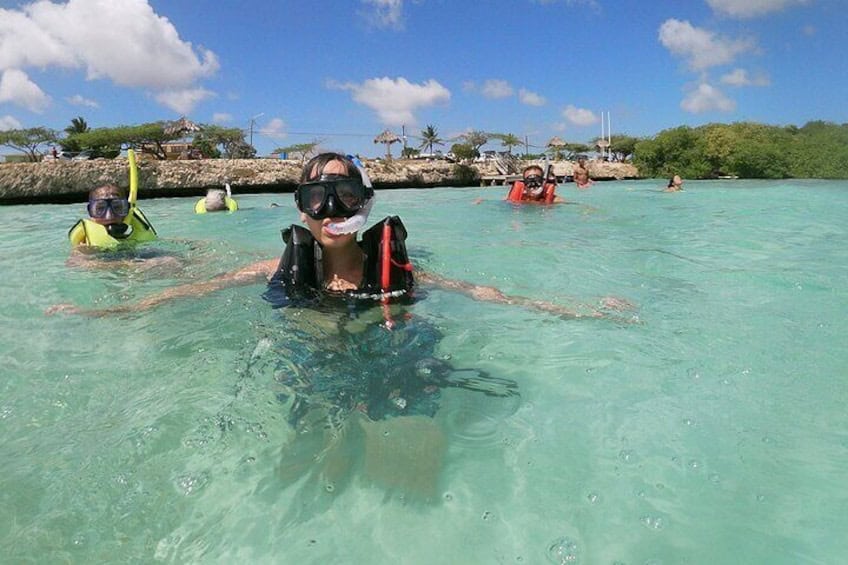 Small Group Snorkeling at Mangel Halto (Aruba)